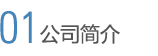 公司简介
